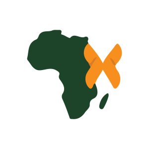 Picture of Horn of Africa Youth Network